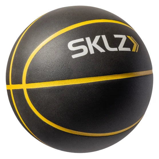 Bashhhketball Pro