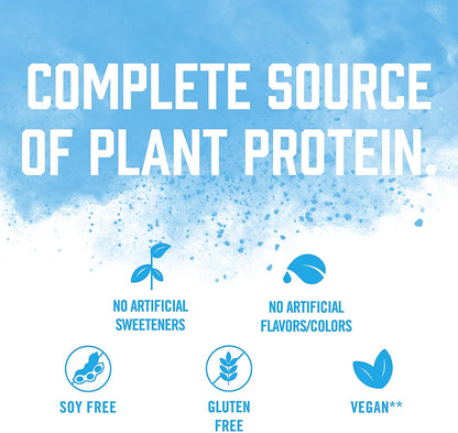 PLANT-BASED PROTEIN