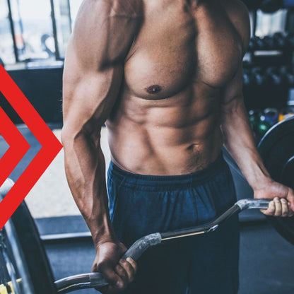 100% CREATINE 200 MESH