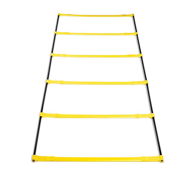 ELEVATION LADDER