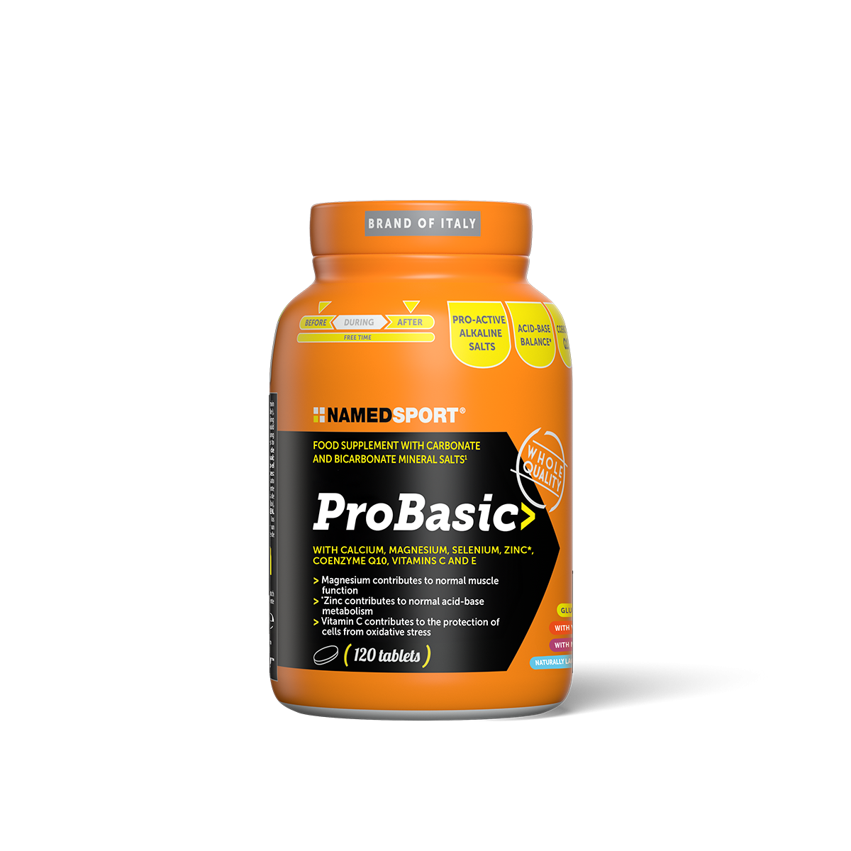 ProBasic 120CPR