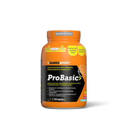 ProBasic 120CPR