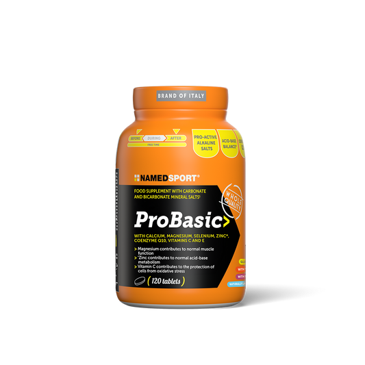 ProBasic 120CPR