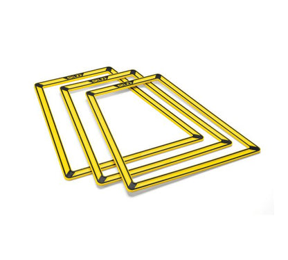 AGILITY TRAINER PRO (SET OF 10)