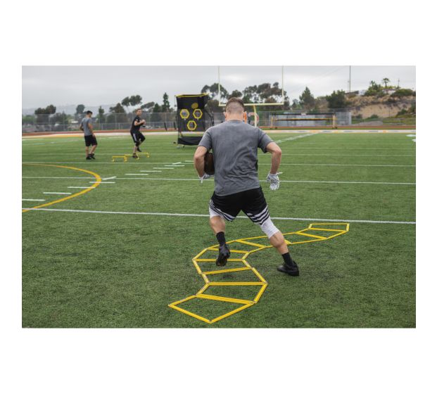 AGILITY TRAINER PRO (SET OF 10)